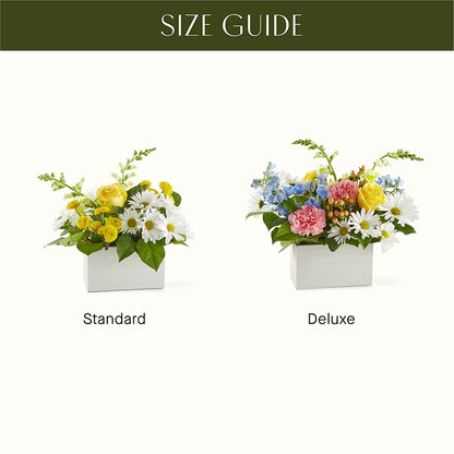 Sun Salutation Box Bouquet –  Hirzel Brothers Greenhouse, Toledo OH