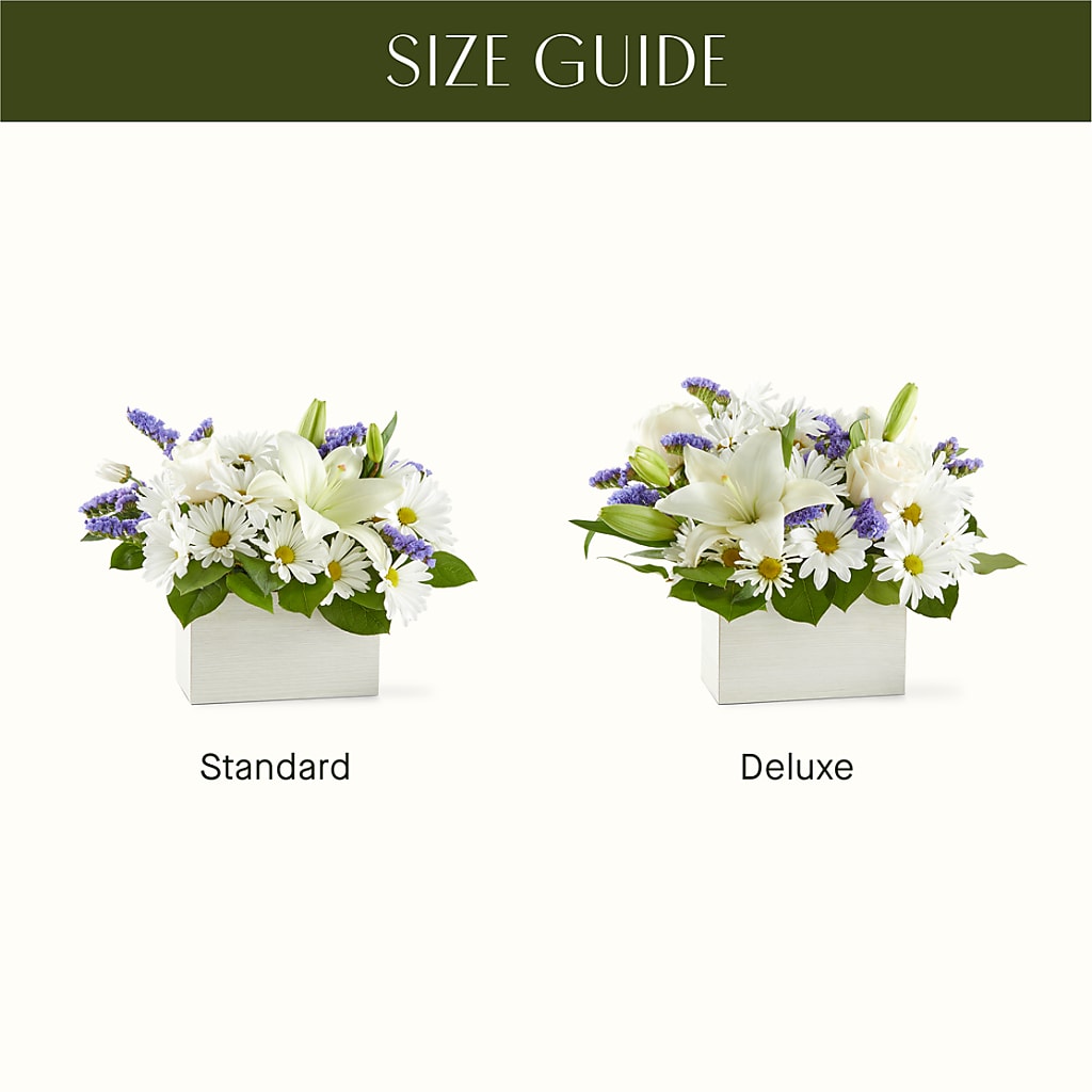 Beyond Blue Box Bouquet –  Hirzel Brothers Greenhouse, Toledo OH