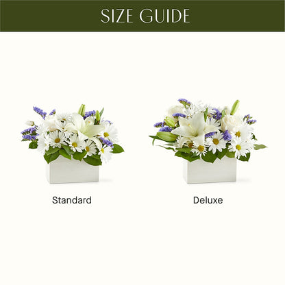Beyond Blue Box Bouquet –  Hirzel Brothers Greenhouse, Toledo OH