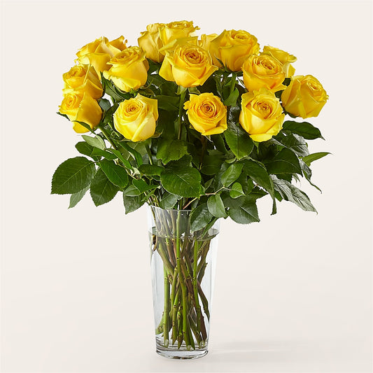 Long Stem Yellow Rose Bouquet –  Hirzel Brothers Greenhouse, Toledo OH