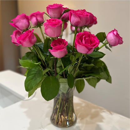 Long Stem Pink Rose Bouquet –  Hirzel Brothers Greenhouse, Toledo OH
