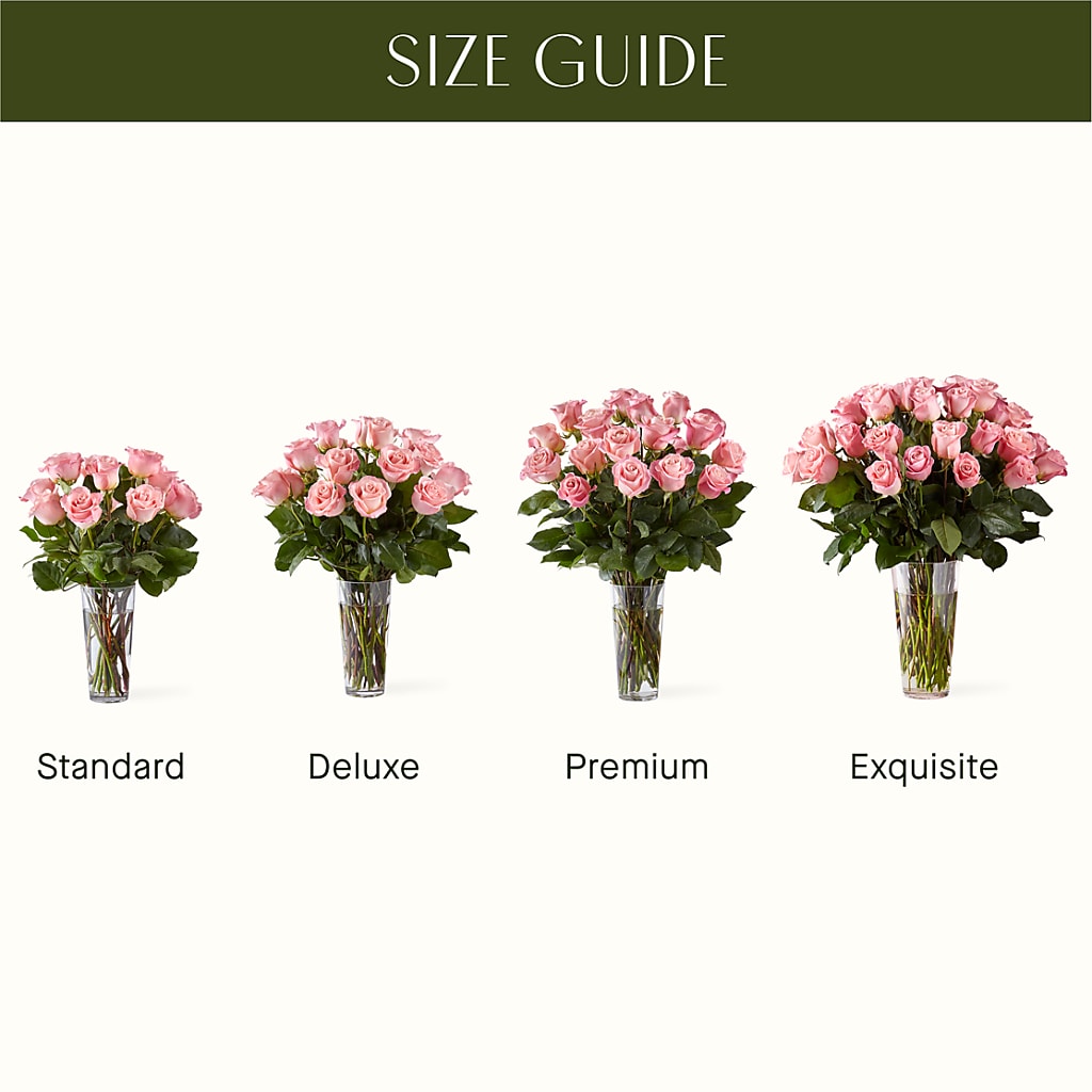 Long Stem Pink Rose Bouquet –  Hirzel Brothers Greenhouse, Toledo OH