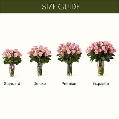 Long Stem Pink Rose Bouquet –  Hirzel Brothers Greenhouse, Toledo OH