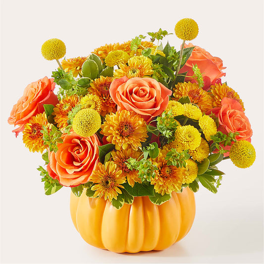 Gourdgeous Pumpkin –  Hirzel Brothers Greenhouse, Toledo OH