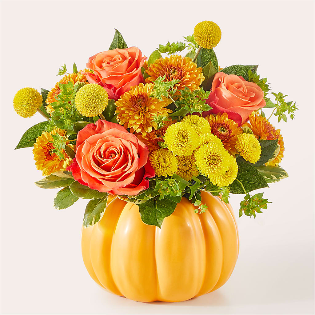 Gourdgeous Pumpkin –  Hirzel Brothers Greenhouse, Toledo OH
