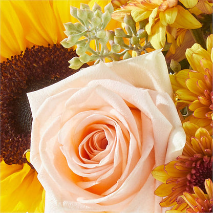 Pumpkin to Talk About Bouquet –  Hirzel Brothers Greenhouse, Toledo OH