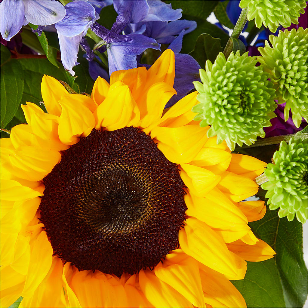 Catching Rays Bouquet –  Hirzel Brothers Greenhouse, Toledo OH