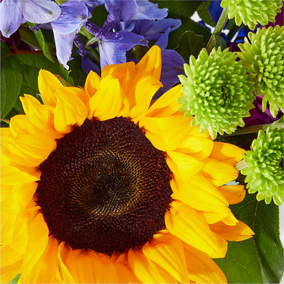 Catching Rays Bouquet –  Hirzel Brothers Greenhouse, Toledo OH