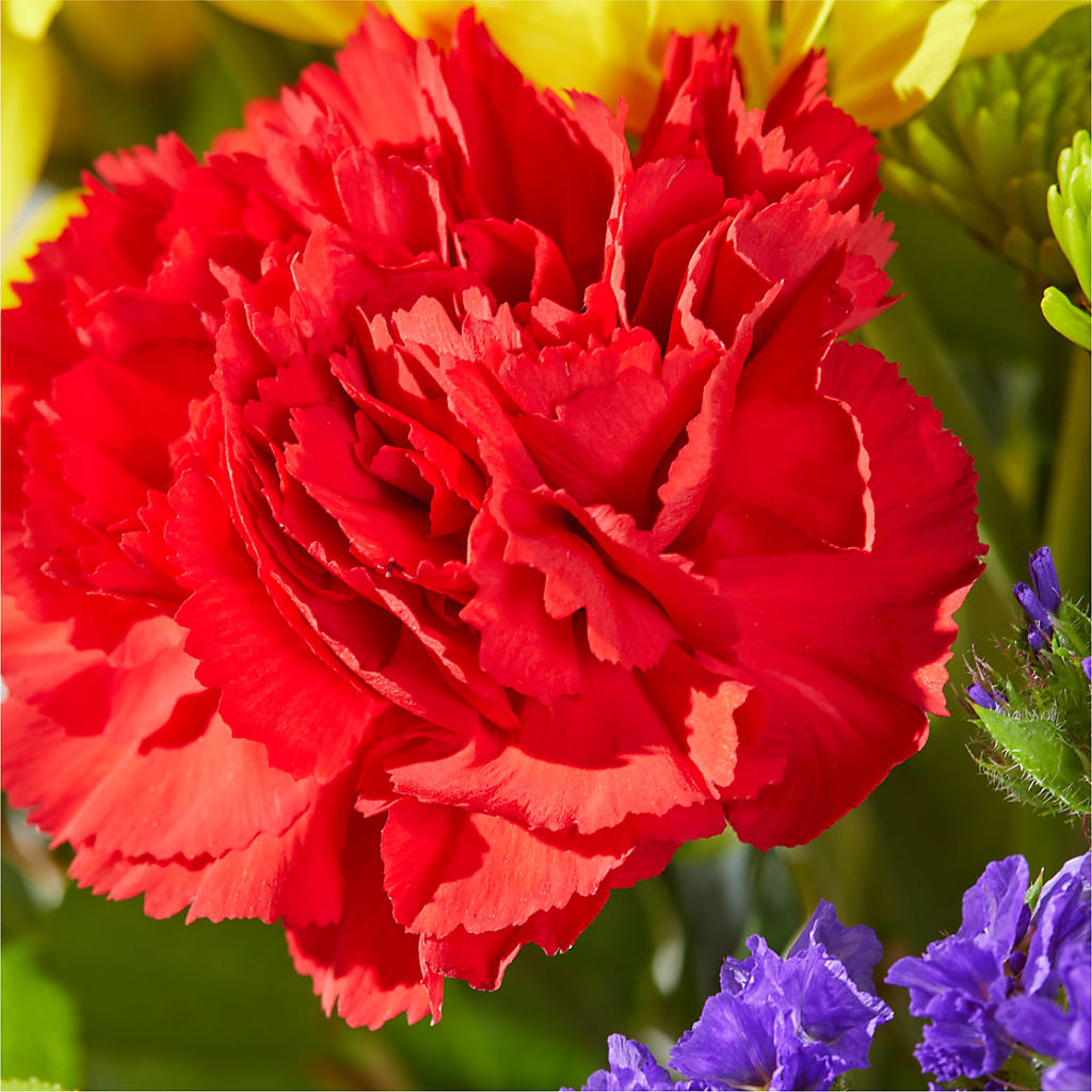 Brighter Days Bouquet –  Hirzel Brothers Greenhouse, Toledo OH