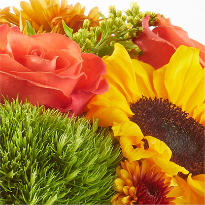 Farmer’s Market Stroll Bouquet –  Hirzel Brothers Greenhouse, Toledo OH