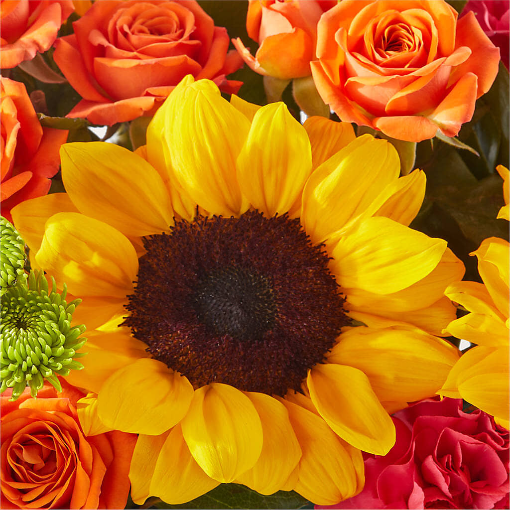 Sun-drenched Blooms Box Bouquet –  Hirzel Brothers Greenhouse, Toledo OH