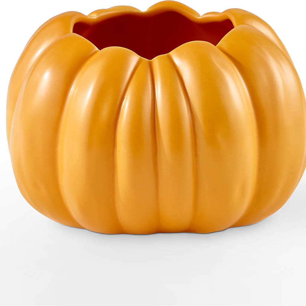 Golden Gourd Pumpkin Bouquet –  Hirzel Brothers Greenhouse, Toledo OH