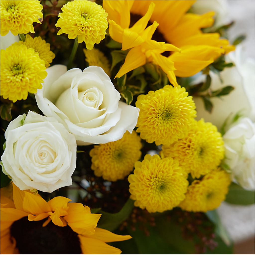 Luminous Morning Bouquet –  Hirzel Brothers Greenhouse, Toledo OH