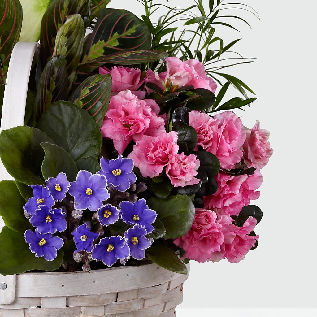 Peaceful Garden Planter –  Hirzel Brothers Greenhouse, Toledo OH