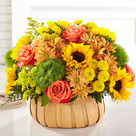 Harvest Sunflower Basket –  Hirzel Brothers Greenhouse, Toledo OH