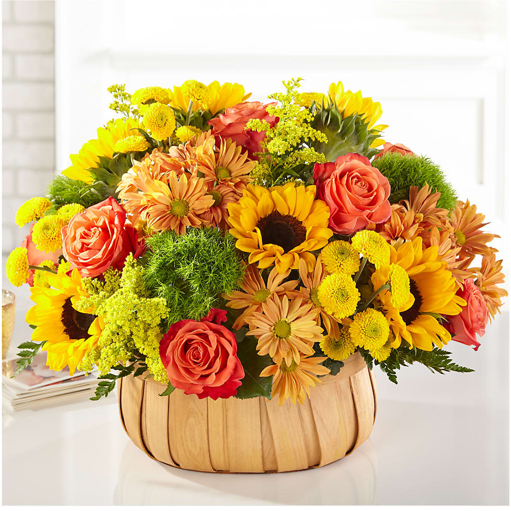 Harvest Sunflower Basket –  Hirzel Brothers Greenhouse, Toledo OH