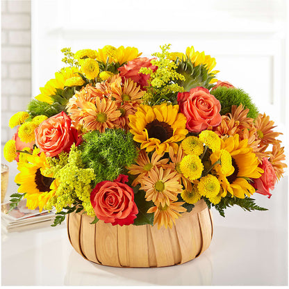 Harvest Sunflower Basket –  Hirzel Brothers Greenhouse, Toledo OH
