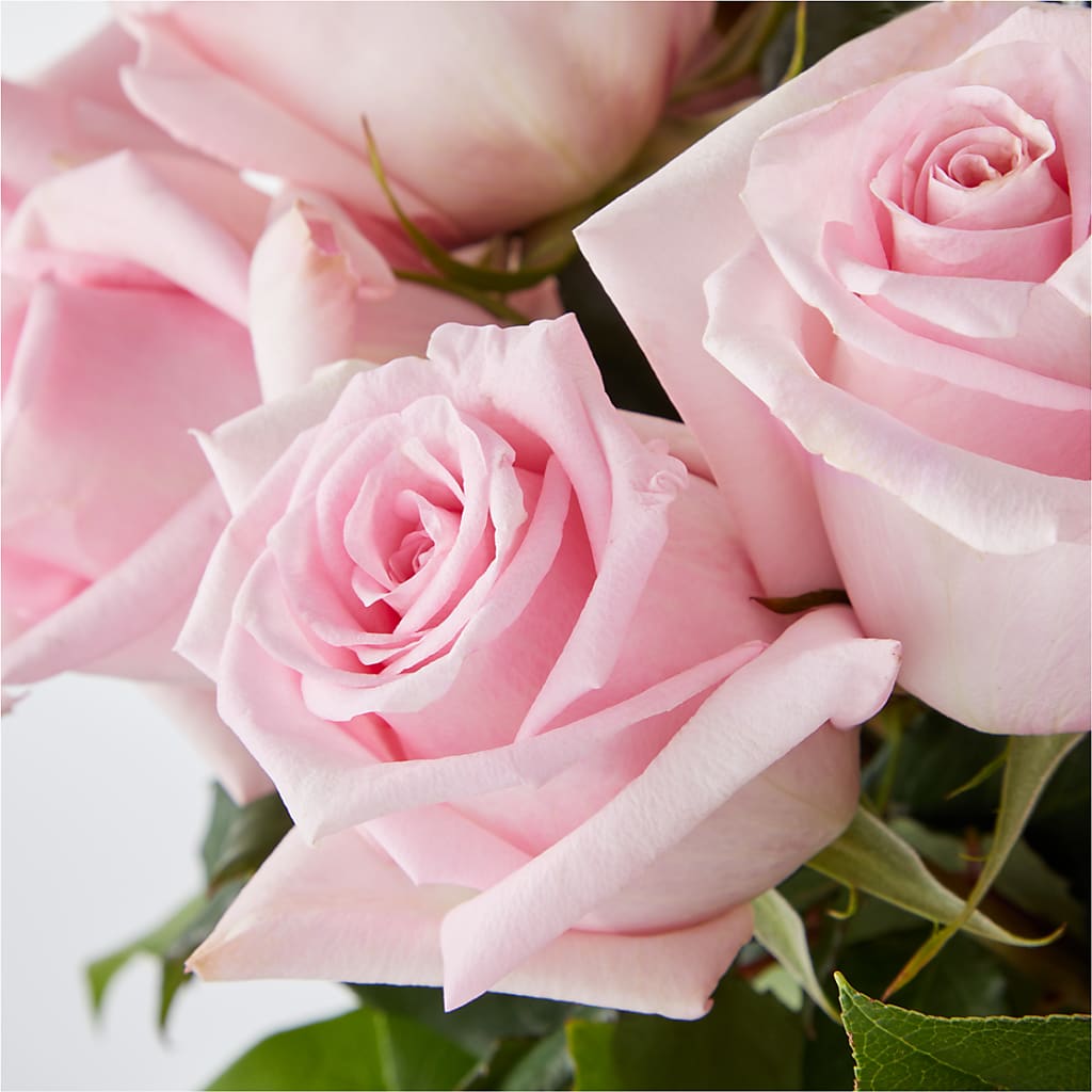 Picture Perfect Pink Rose Bouquet –  Hirzel Brothers Greenhouse, Toledo OH