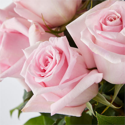 Picture Perfect Pink Rose Bouquet –  Hirzel Brothers Greenhouse, Toledo OH