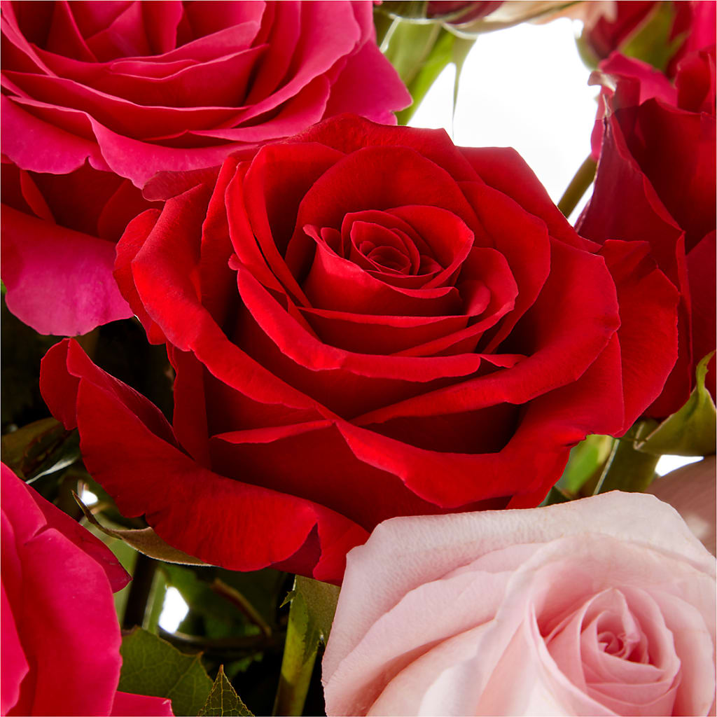 Love Notes Rose Bouquet –  Hirzel Brothers Greenhouse, Toledo OH