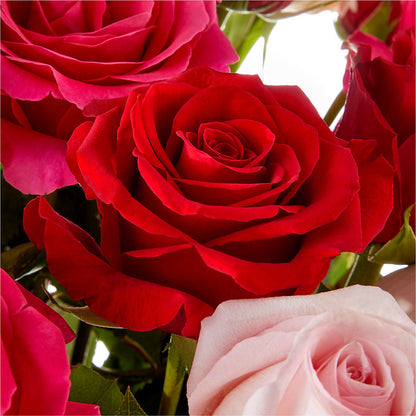 Love Notes Rose Bouquet –  Hirzel Brothers Greenhouse, Toledo OH