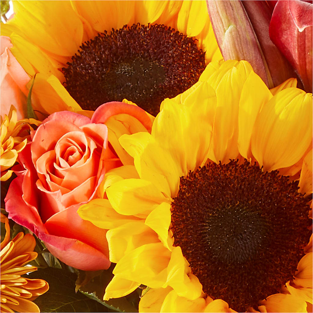 Acorn Lane Bouquet –  Hirzel Brothers Greenhouse, Toledo OH
