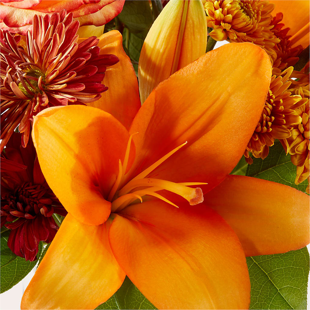 Autumnal Aroma Bouquet –  Hirzel Brothers Greenhouse, Toledo OH