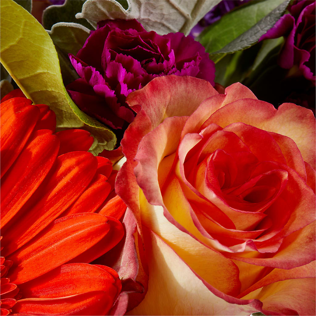 Sangria Bouquet –  Hirzel Brothers Greenhouse, Toledo OH