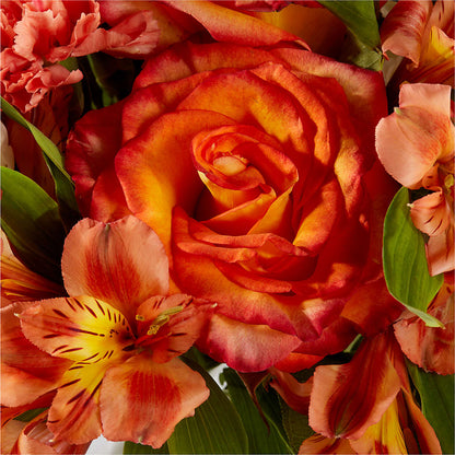 Apricot Glow Bouquet –  Hirzel Brothers Greenhouse, Toledo OH
