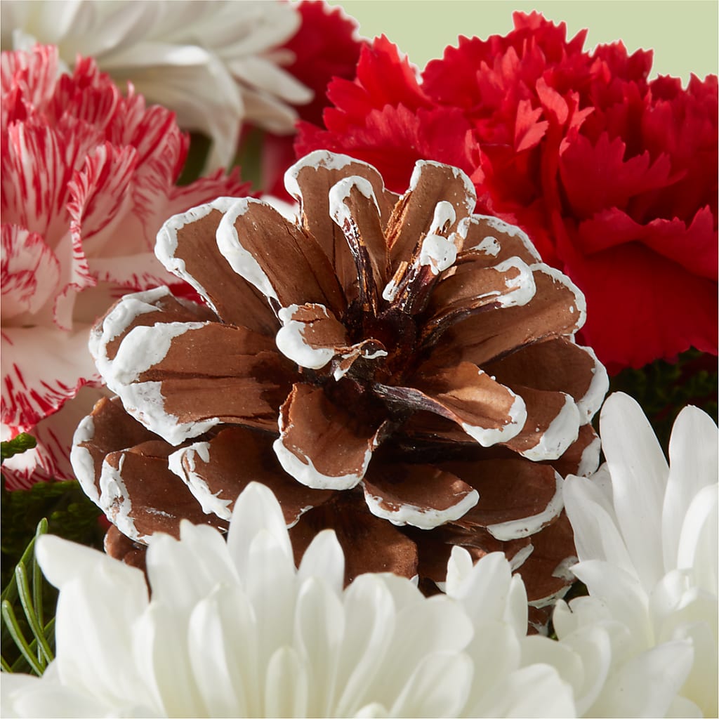 Candy Cane Lane Bouquet –  Hirzel Brothers Greenhouse, Toledo OH