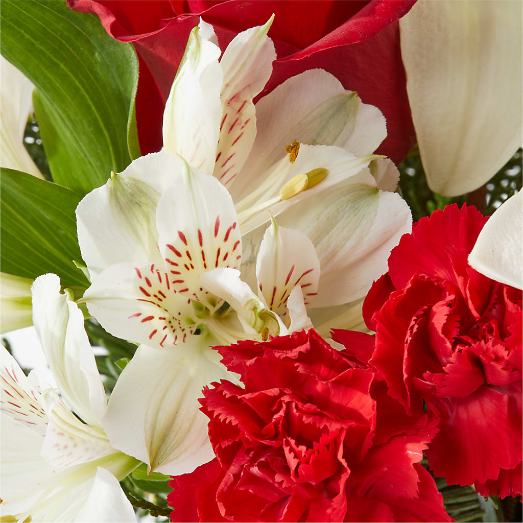Holiday Season Bouquet –  Hirzel Brothers Greenhouse, Toledo OH
