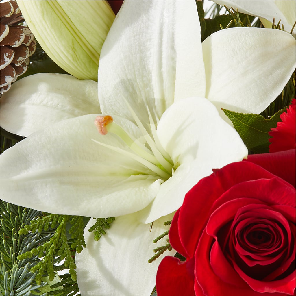 Oh So Jolly Bouquet –  Hirzel Brothers Greenhouse, Toledo OH