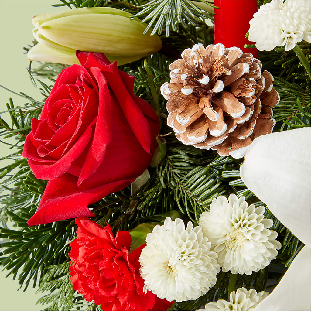 Seasonal Festivities Centerpiece –  Hirzel Brothers Greenhouse, Toledo OH