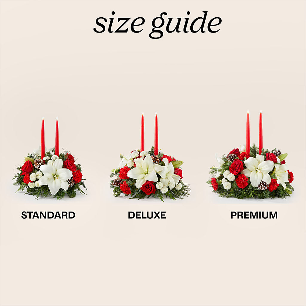 Seasonal Festivities Centerpiece –  Hirzel Brothers Greenhouse, Toledo OH