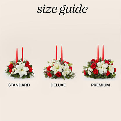 Seasonal Festivities Centerpiece –  Hirzel Brothers Greenhouse, Toledo OH