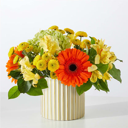 Autumn Sunshine Bouquet with Ivory Vase –  Hirzel Brothers Greenhouse, Toledo OH