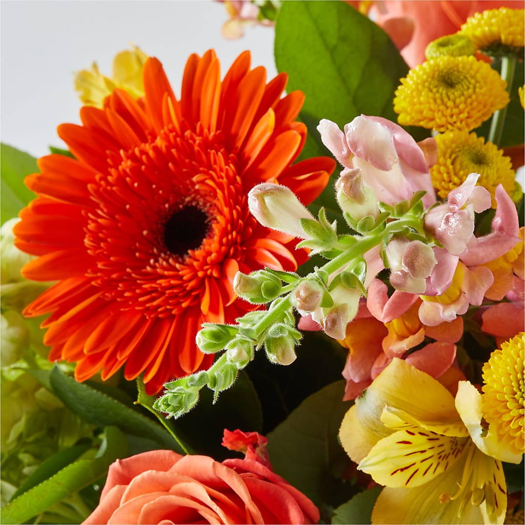 Autumn Sunshine Bouquet –  Hirzel Brothers Greenhouse, Toledo OH