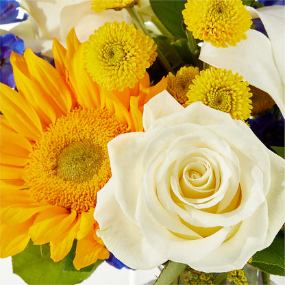 Stargazing Bouquet –  Hirzel Brothers Greenhouse, Toledo OH