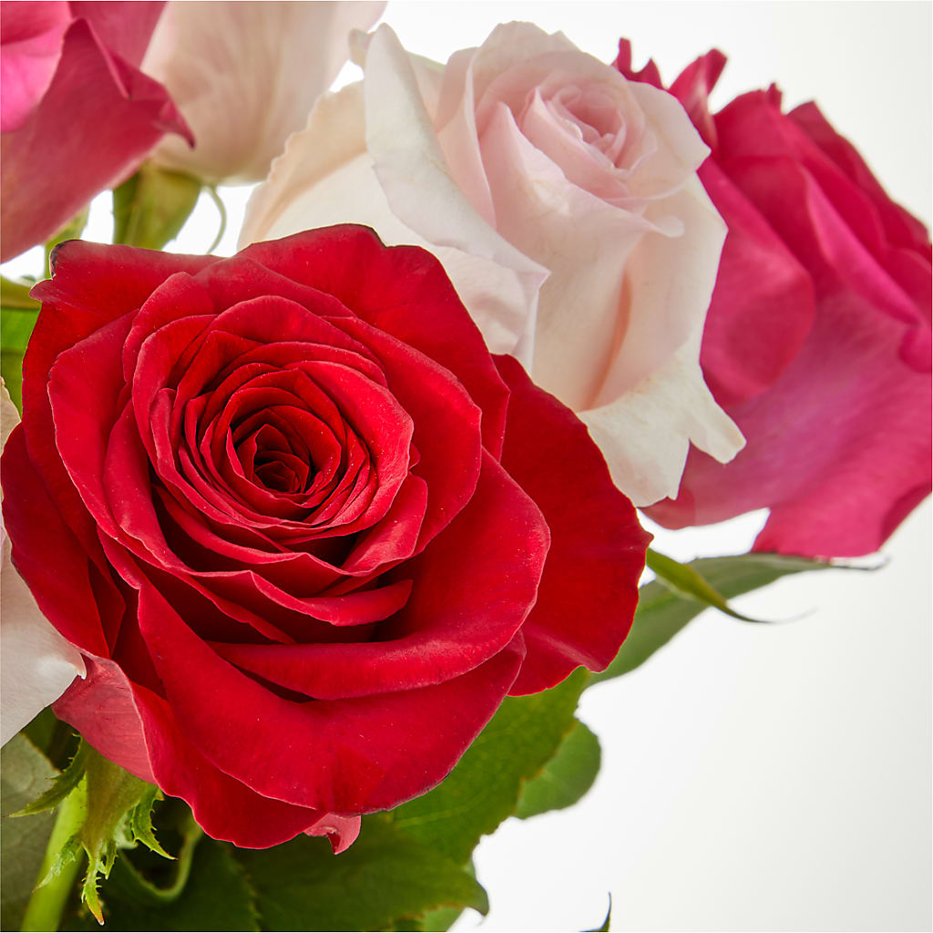 Charming Rose Bouquet –  Hirzel Brothers Greenhouse, Toledo OH