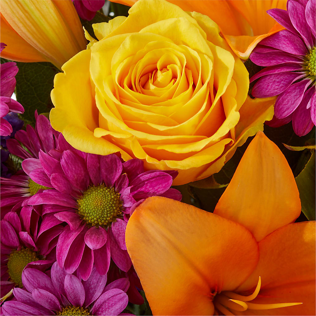 Colorful Visions Bouquet –  Hirzel Brothers Greenhouse, Toledo OH