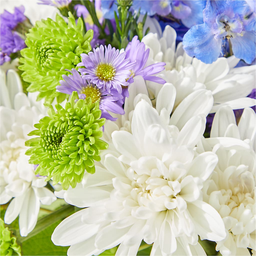 Genuine Gestures Bouquet –  Hirzel Brothers Greenhouse, Toledo OH