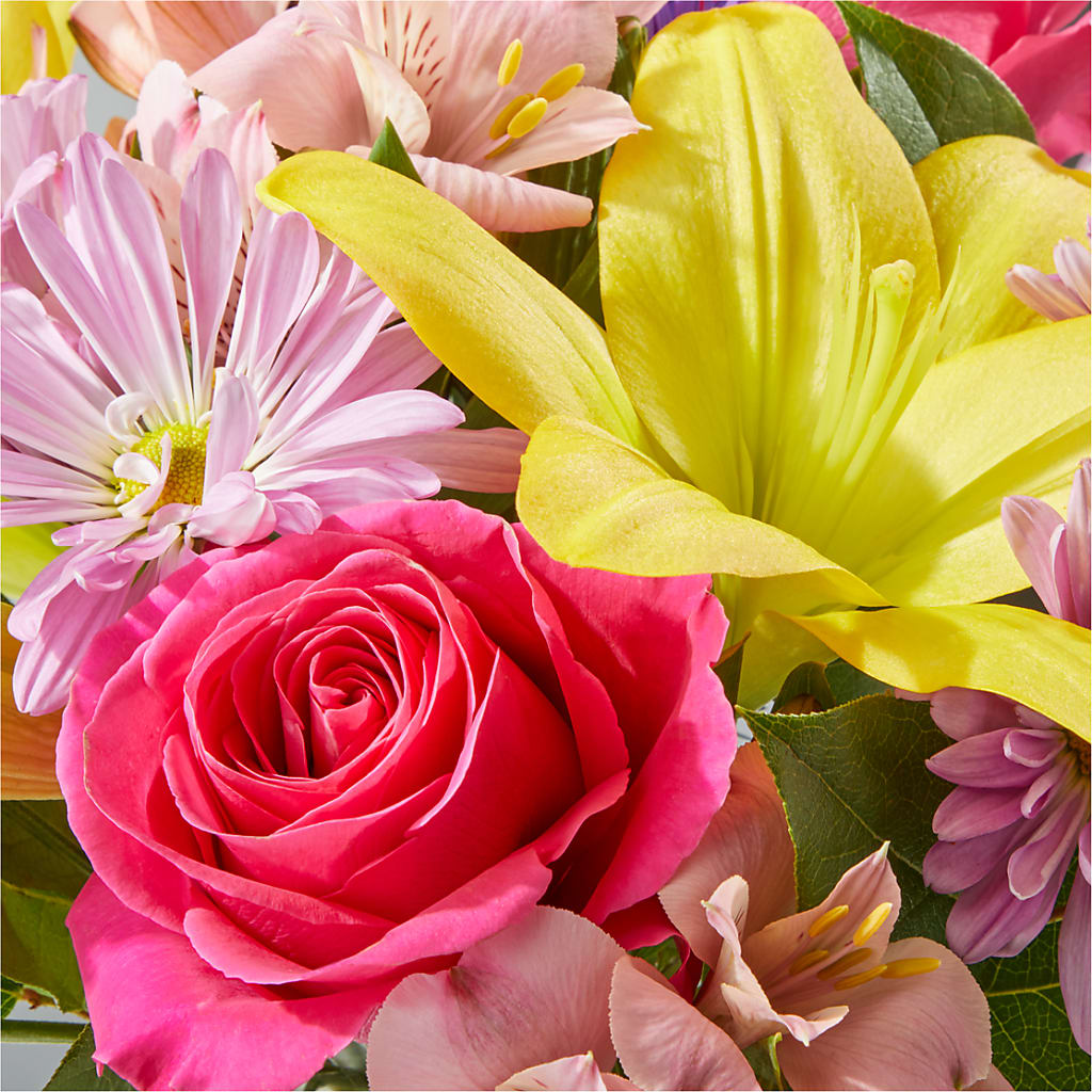 Sprinkles Bouquet –  Hirzel Brothers Greenhouse, Toledo OH