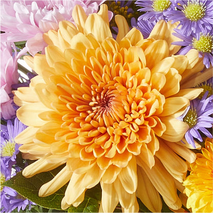 Countryside Bouquet –  Hirzel Brothers Greenhouse, Toledo OH