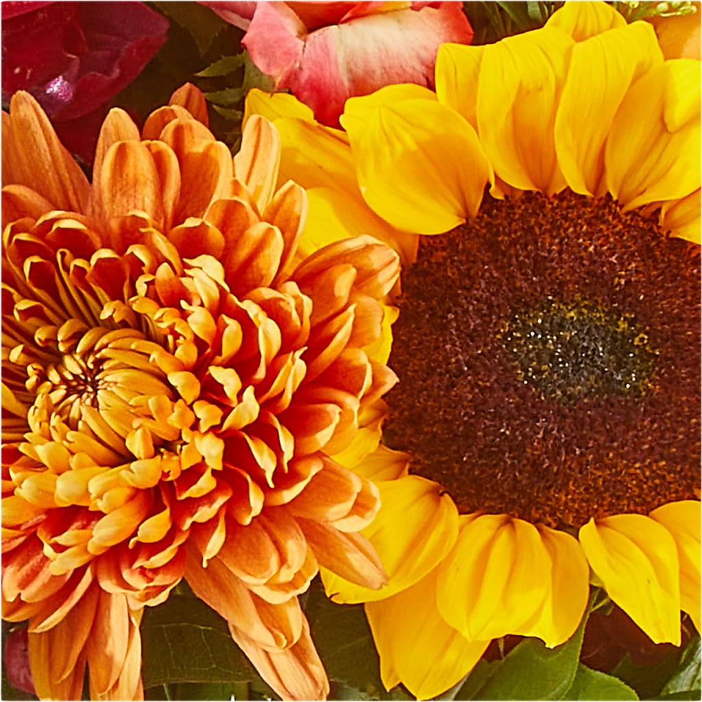 Seasons Change Bouquet –  Hirzel Brothers Greenhouse, Toledo OH