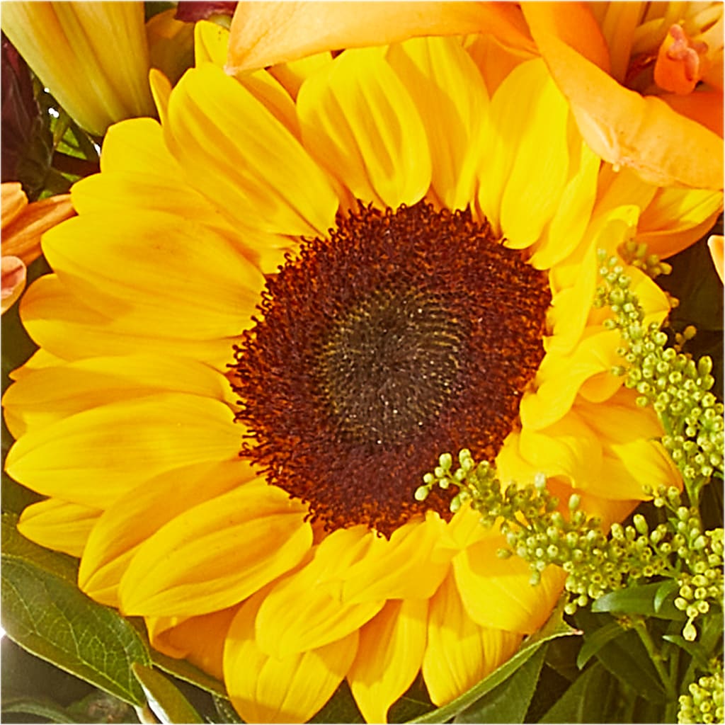 Seasons Change Bouquet –  Hirzel Brothers Greenhouse, Toledo OH