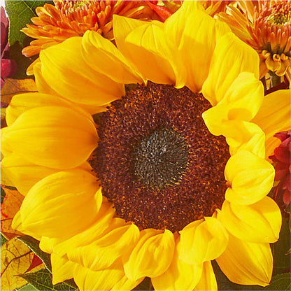 Sunny Side Bouquet –  Hirzel Brothers Greenhouse, Toledo OH