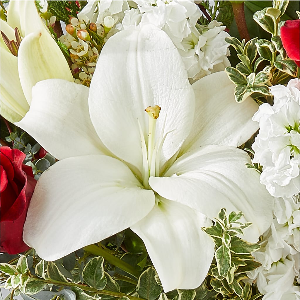 Twinkle Lights Bouquet –  Hirzel Brothers Greenhouse, Toledo OH