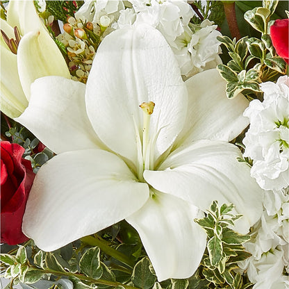 Twinkle Lights Bouquet –  Hirzel Brothers Greenhouse, Toledo OH