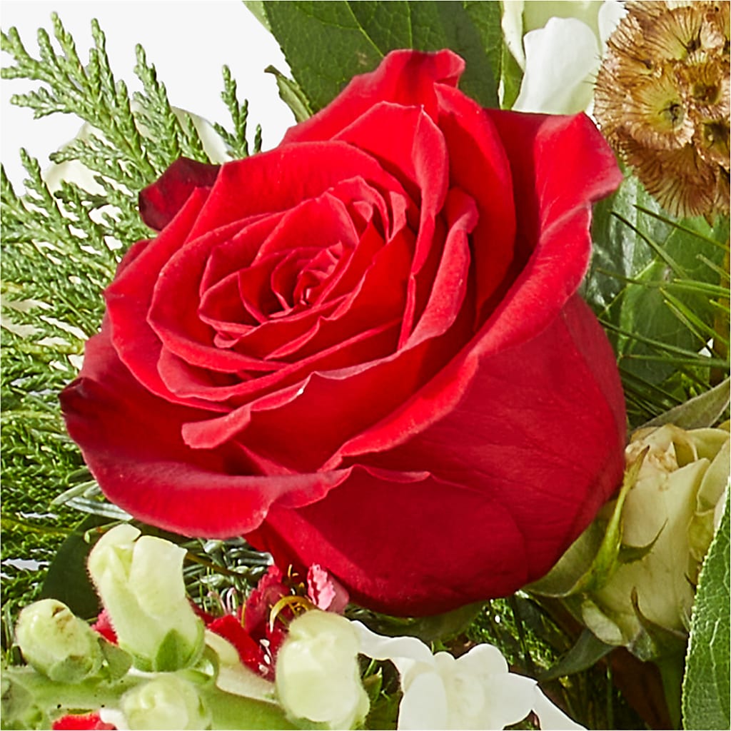 Deck the Halls Bouquet –  Hirzel Brothers Greenhouse, Toledo OH
