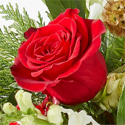 Deck the Halls Bouquet –  Hirzel Brothers Greenhouse, Toledo OH